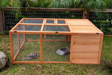 Zoo Med Easy-Fold Tortoise Yard (local pickup only)